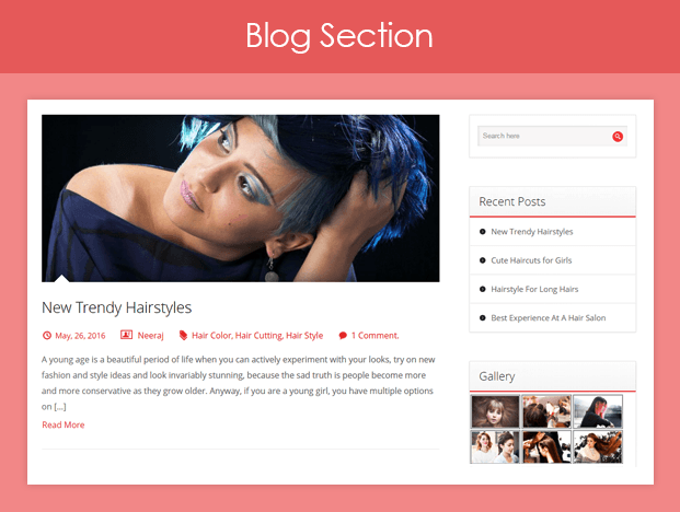 HairStylist Blog Section