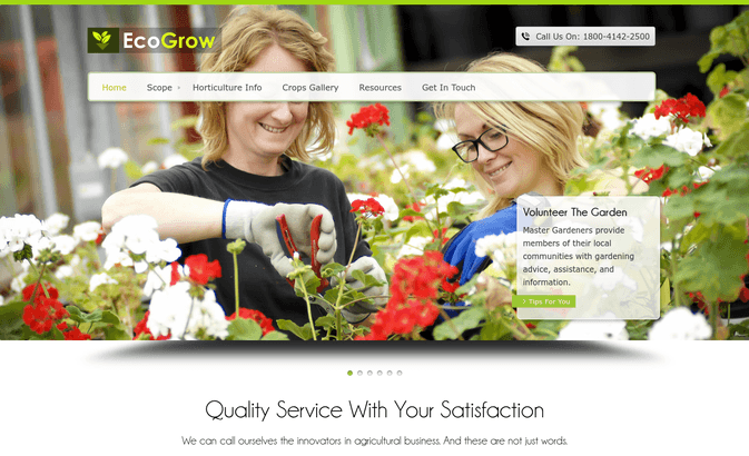 eco grow wp theme