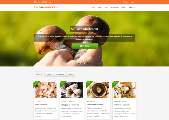 globalmushroom WP Theme