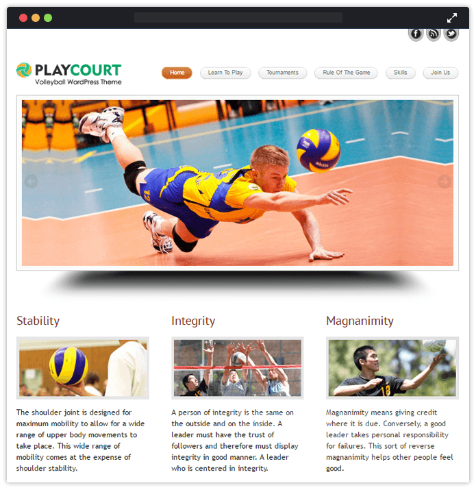 playcourt wp theme