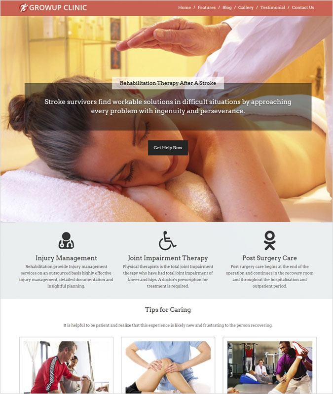 GrowupClinic WP theme