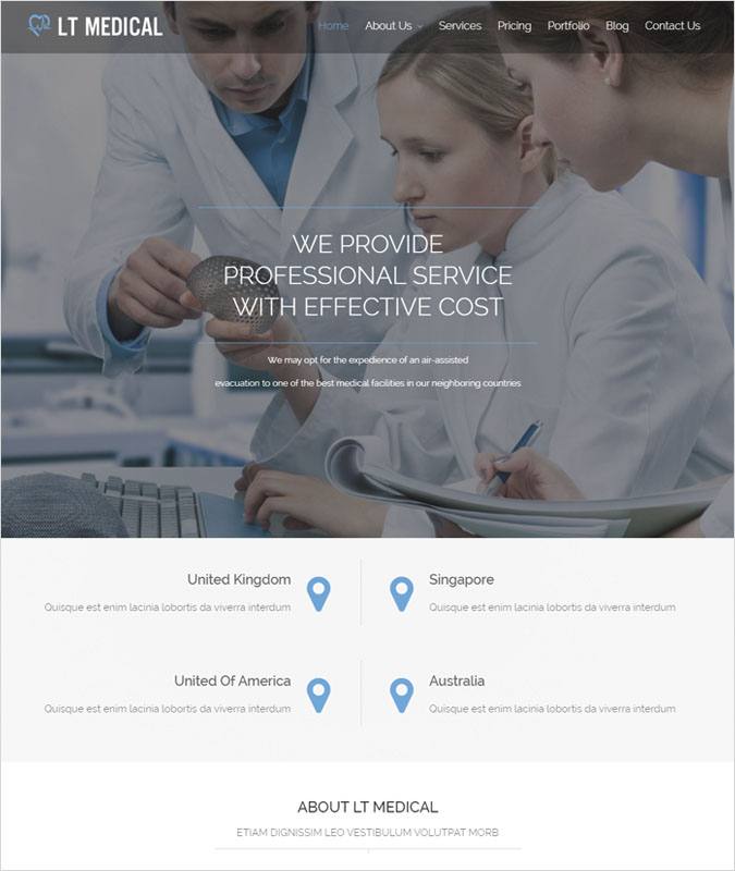 LTMedical WP theme