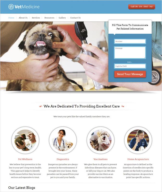 VetMedicine WP theme