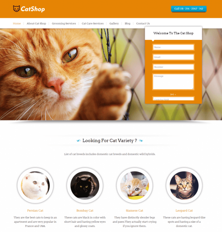 10+ Best Pet Shop, Animal Store WordPress Themes 2022