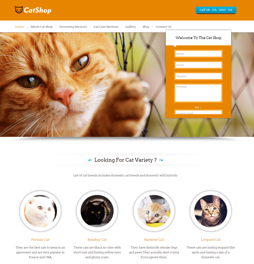 Animal Store WordPress Themes 2020