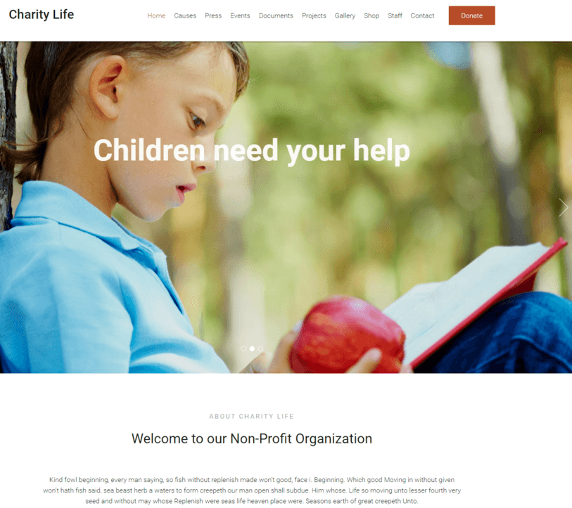 Fundraising WordPres Theme InkThemes