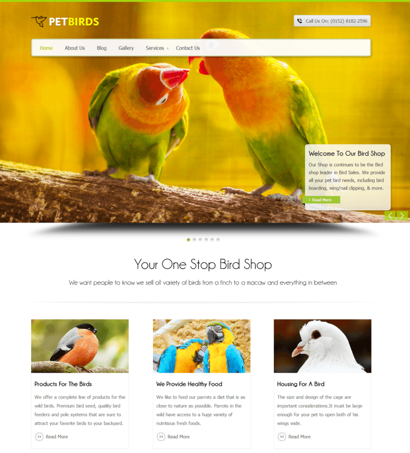 pet-bird-wordpress-website-for-animal