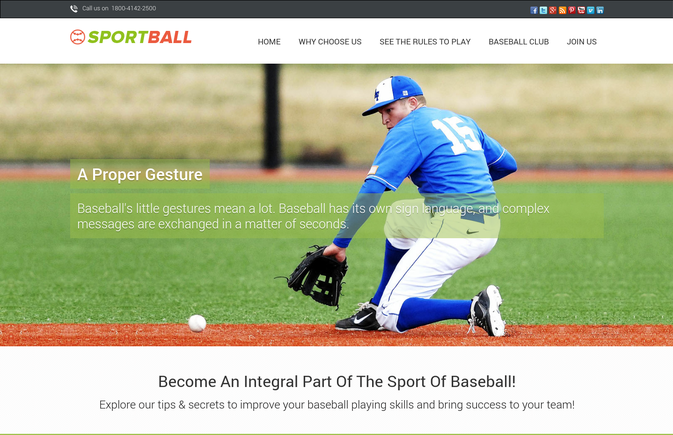 sports ball wp theme