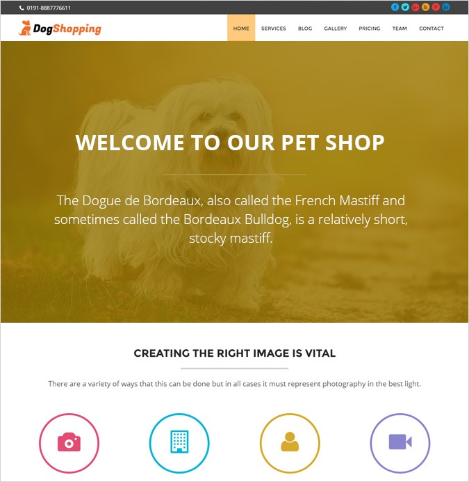 onepage-PET