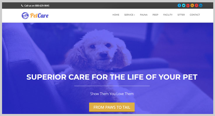 petcare PetCare WordPress Themes