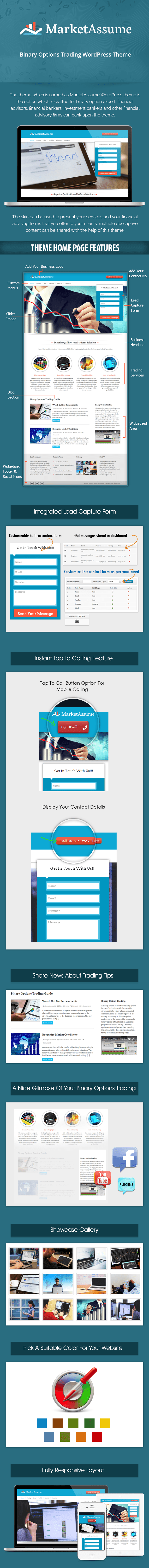 Binary option wordpress theme