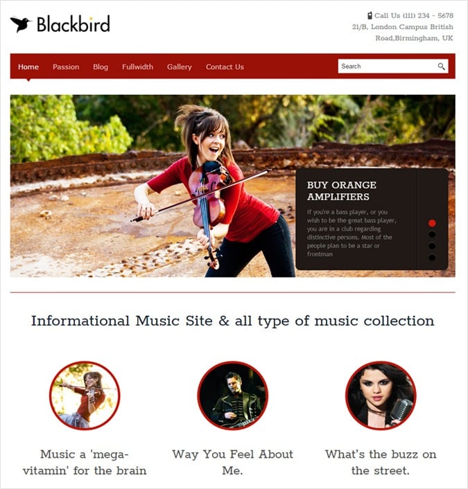 BlackBird WordPress Theme