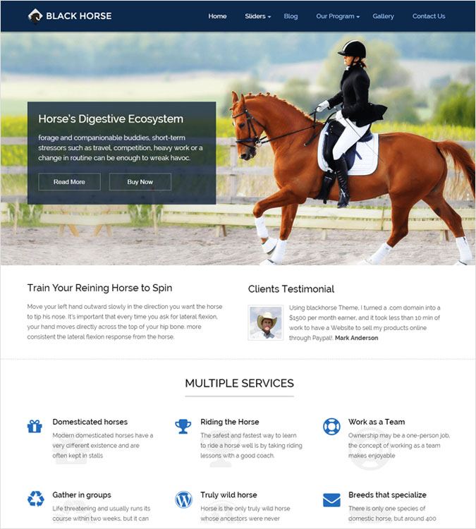 BlackHorse WordPress Theme