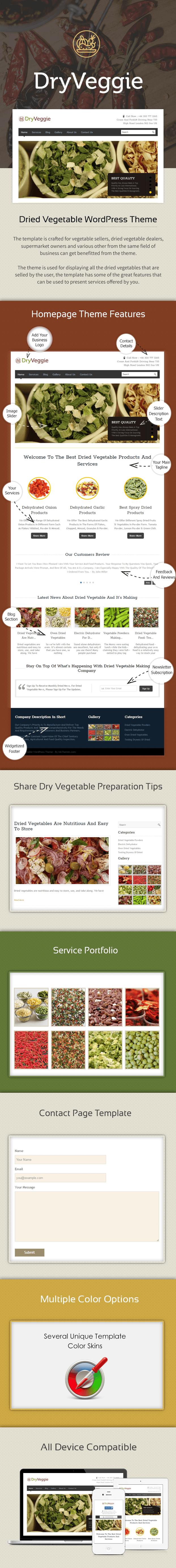 DryVeggie Sales Page