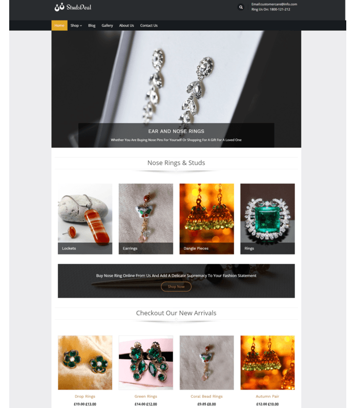 Ear And Nose Rings Sale WordPress Theme