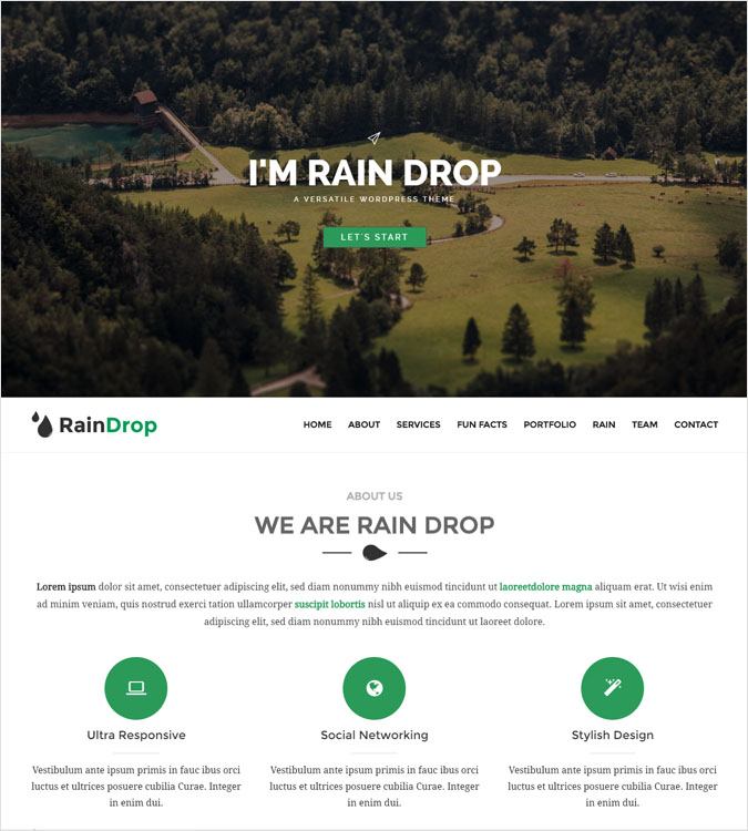 RainDrop WordPress Theme