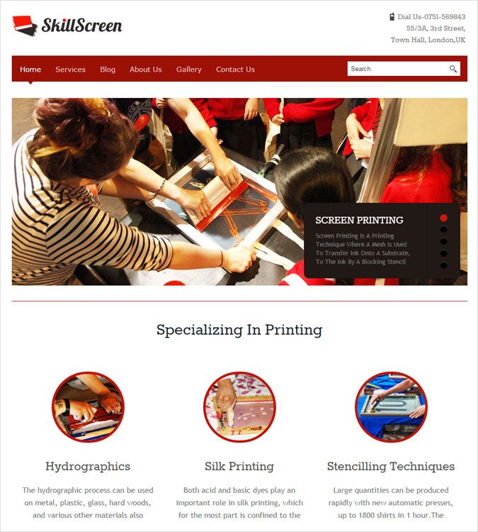 SkillScreen WP theme