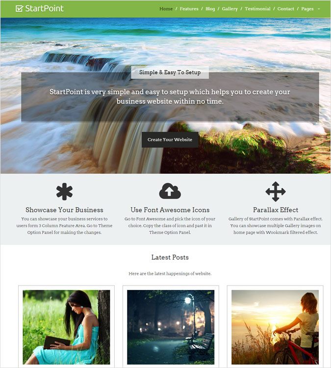 StartPoint WP theme