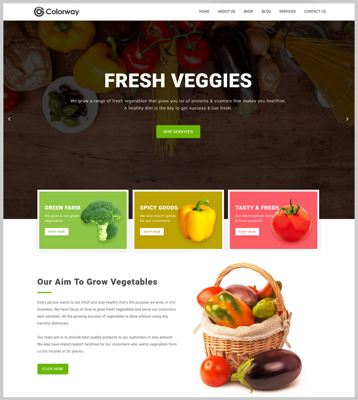 Colorway - Grocery Store WordPress Theme