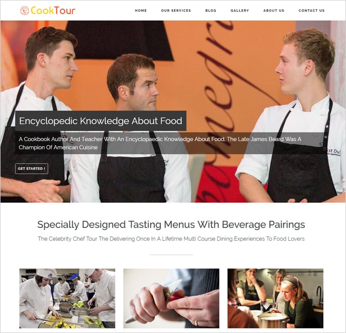 celebrity cook wordpress theme