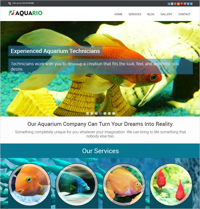 Aquario WP theme