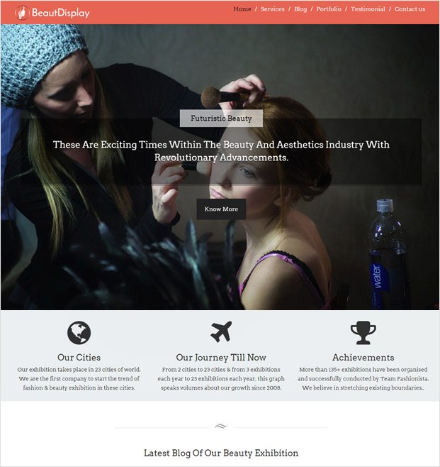 BeautDisplay WP theme