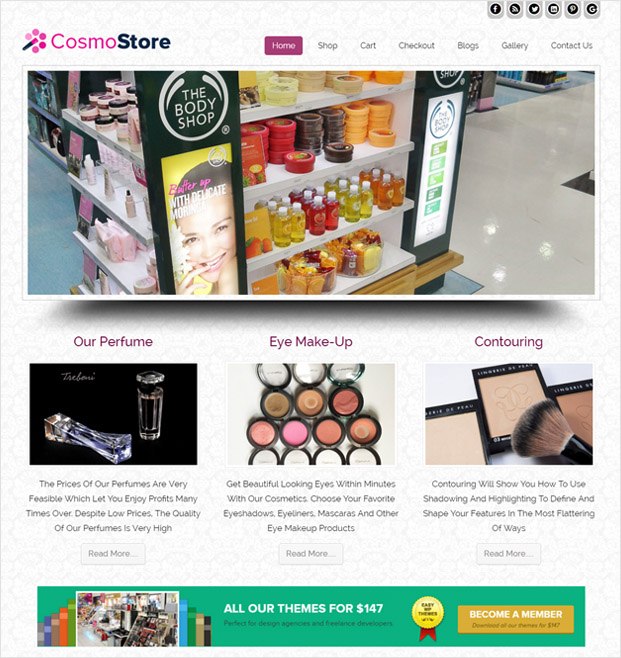 CosmoStore Wp theme