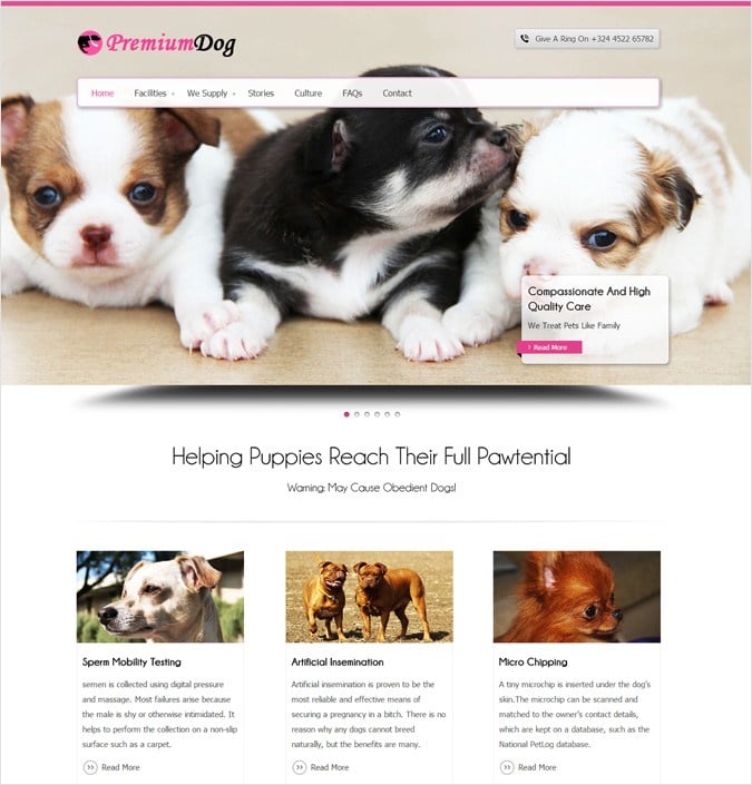 Dog Breeding Services WordPress Theme