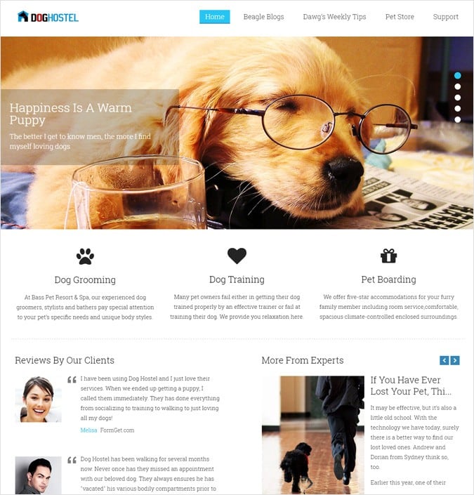 Dog Camp & Boarding WordPress Theme