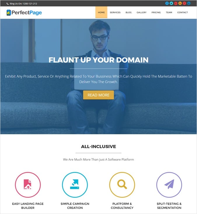 PerfectPage WP theme