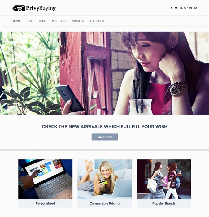 PrivyBuying wp theme