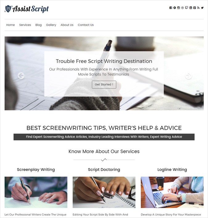 Script Assistance WordPress Theme