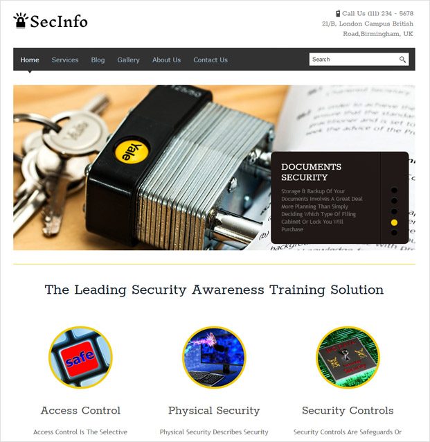 SecInfo WP theme