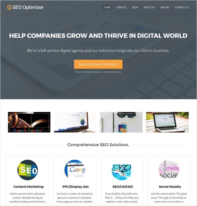 SEO Optimizer WP theme