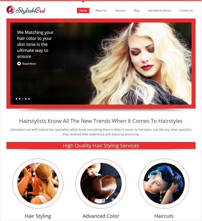 StylishCut WP theme