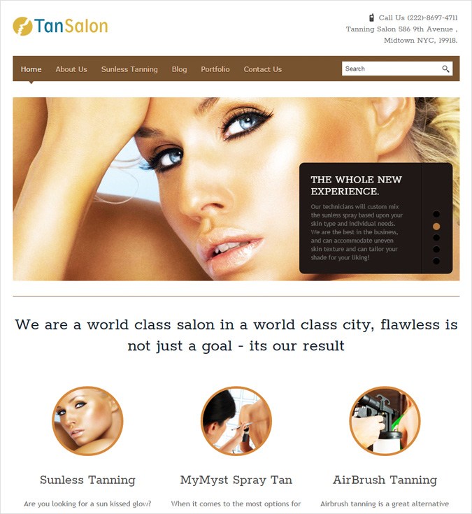 TanSalon WP theme