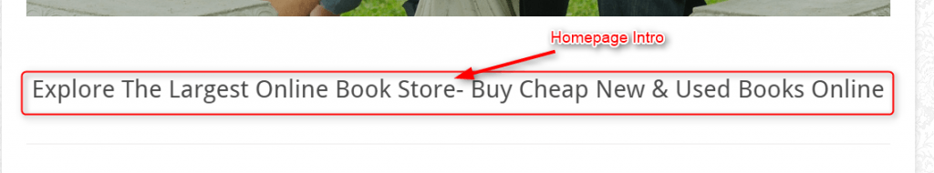 Front end homepage intro