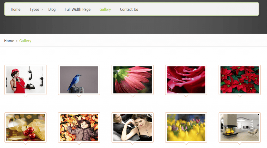 Create A New Gallery