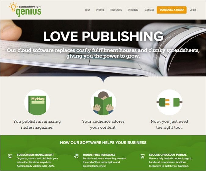 SubscriptionGenius Revenue Optimization Tool