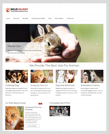 animal rescue website