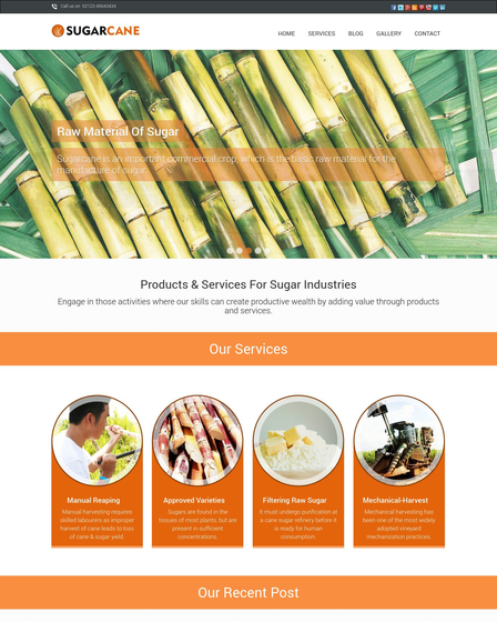 SugarCane