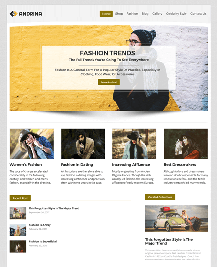 Andrina - Fashion Oriented WordPress Theme | InkThemes