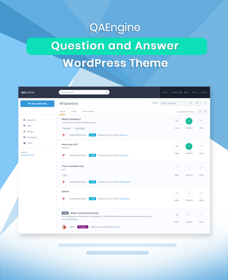 Question and Answer WordPress Theme