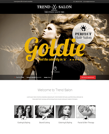 WordPress theme for hair salon