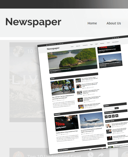 PHP Newspaper Script