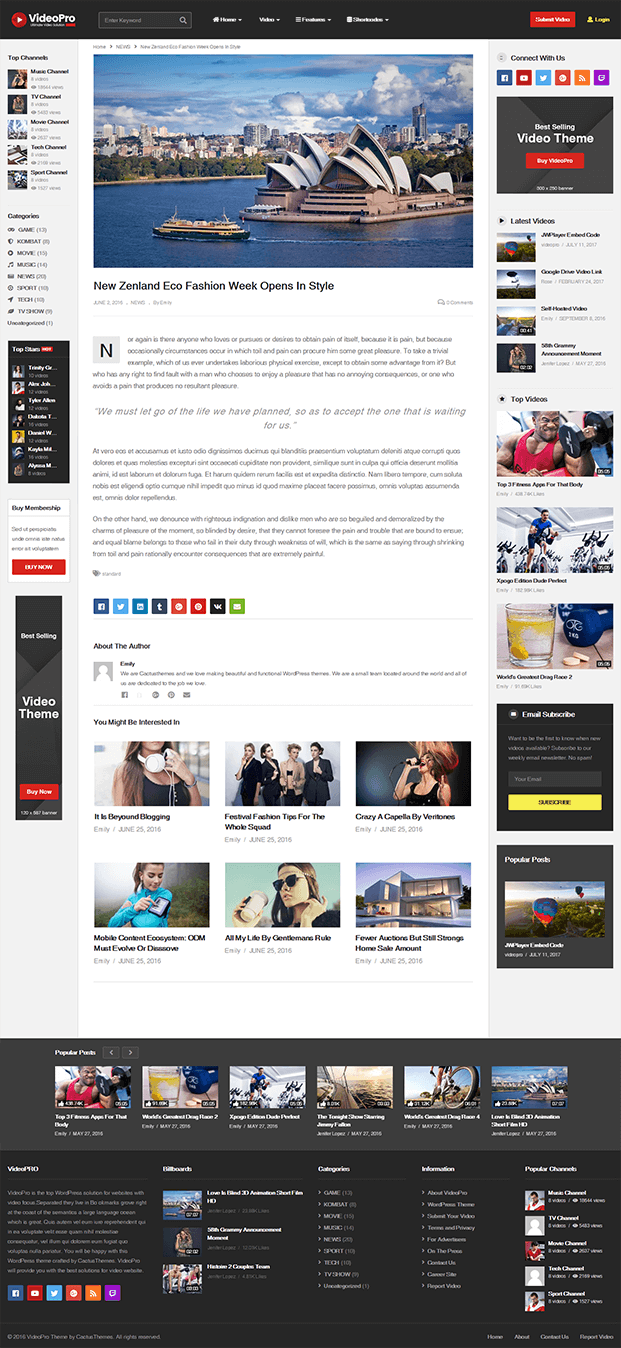 VideoPro Responsive Video WordPress Theme InkThemes