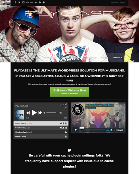 Flycase WordPress theme for musicians