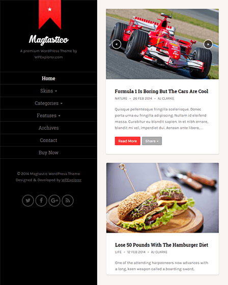 Responsive WordPress Theme For Blog