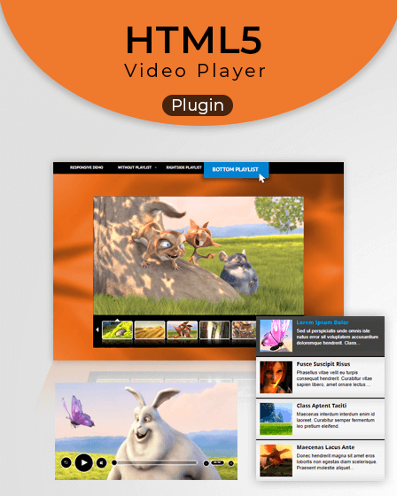 Video Player WordPress Plugin