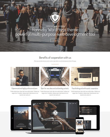 feature-image-ronneby-responsive-wordpress-template-for-multiutility